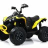 Детский электроквадроцикл BRP Can-Am Renegade Y333YY